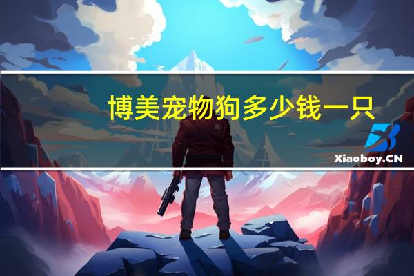 博美宠物狗多少钱一只