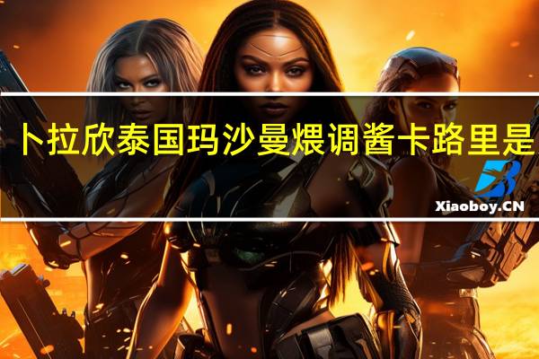卜拉欣 泰国玛沙曼煨调酱卡路里是多少