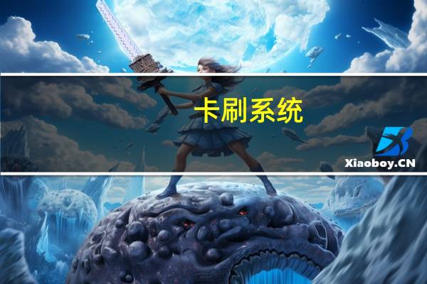 卡刷系统(卡刷教程)