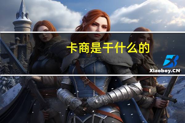 卡商是干什么的(卡商)