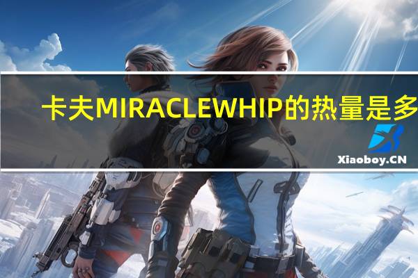 卡夫 MIRACLEWHIP的热量是多少