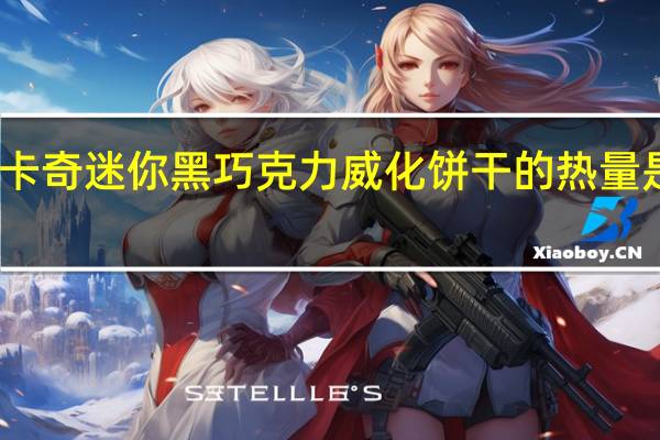 卡奇 迷你黑巧克力威化饼干的热量是多少