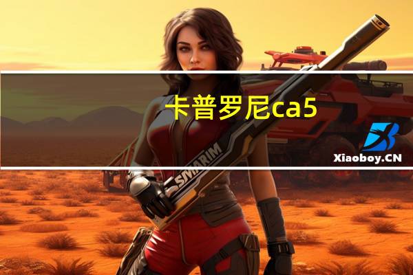 卡普罗尼ca5（意大利卡普罗尼CA133运输机简介）