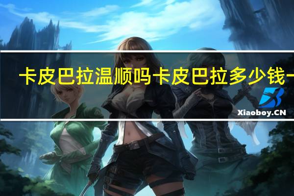 卡皮巴拉温顺吗 卡皮巴拉多少钱一只