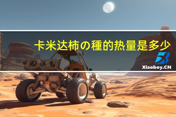卡米达 柿の種的热量是多少