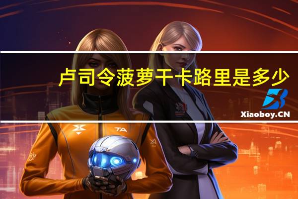 卢司令 菠萝干卡路里是多少