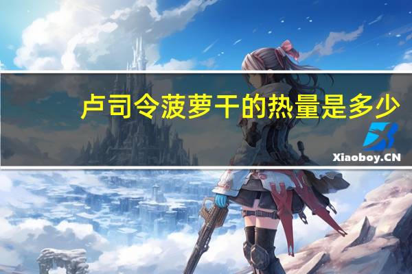卢司令 菠萝干的热量是多少
