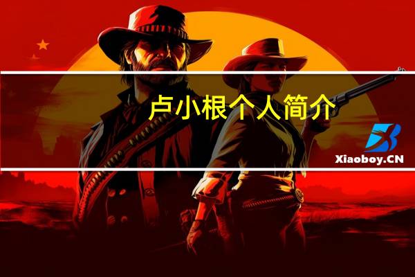 卢小根个人简介