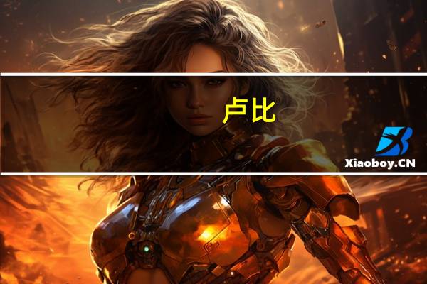 卢比（关于卢比的介绍）