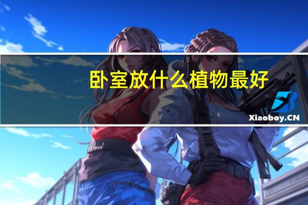 卧室放什么植物最好