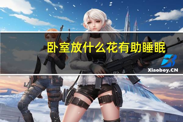 卧室放什么花有助睡眠
