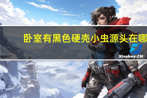 卧室有黑色硬壳小虫源头在哪