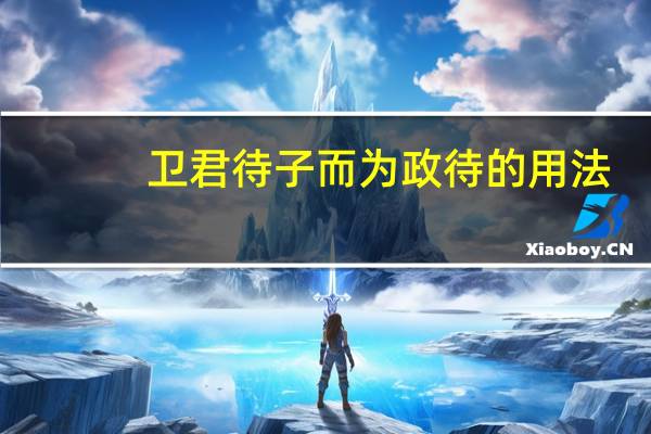卫君待子而为政待的用法
