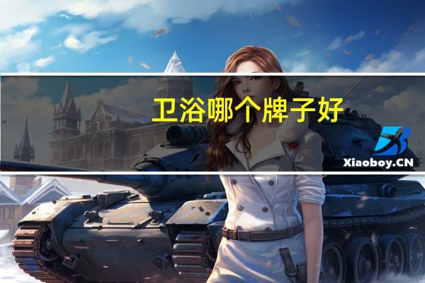 卫浴哪个牌子好(卫生间洁具)