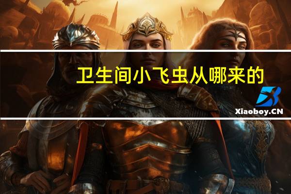 卫生间小飞虫从哪来的