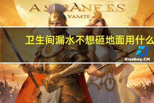 卫生间漏水不想砸地面用什么（卫生间漏水不想砸地面用什么材料）