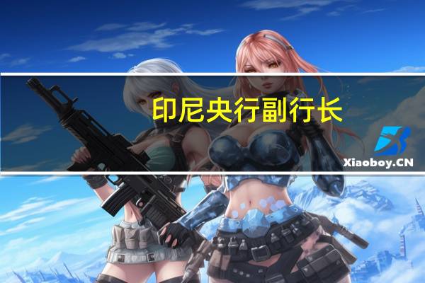 印尼央行副行长：市场波动是由外部因素引起的国内经济状况良好