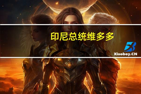 印尼总统维多多：2024年基础设施预算为422.7万亿印尼盾