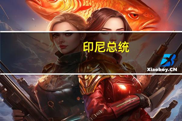 印尼总统：印尼盾贬值对通胀的影响是可控的