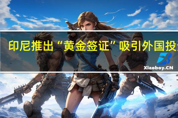 印尼推出“黄金签证”吸引外国投资者：设立价值500万美元的公司可居留10年