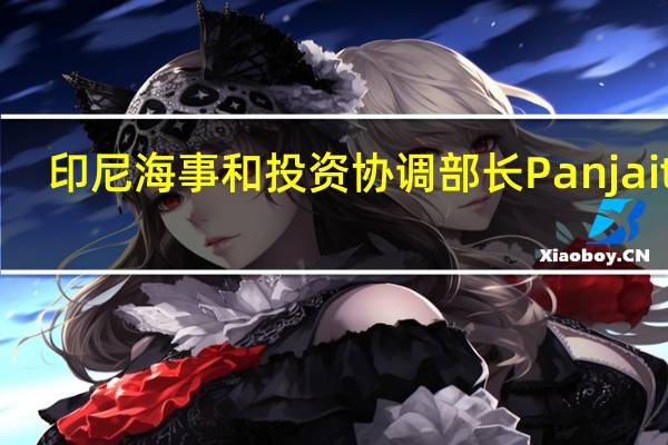 印尼海事和投资协调部长Panjaitan：印度尼西亚预计将在11月达成与美国的投资协议