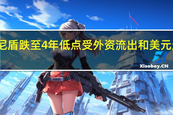 印尼盾跌至4年低点 受外资流出和美元走强影响