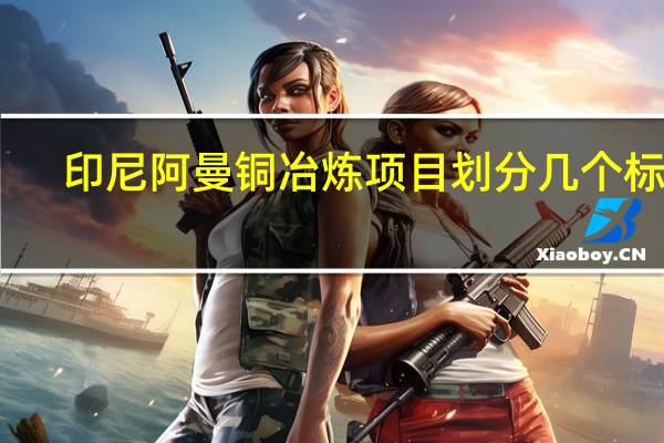 印尼阿曼铜冶炼项目划分几个标段