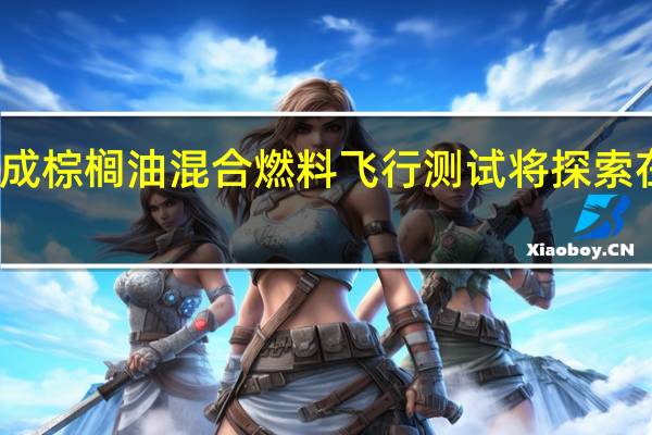 印尼鹰航完成棕榈油混合燃料飞行测试将探索在商业航班上使用