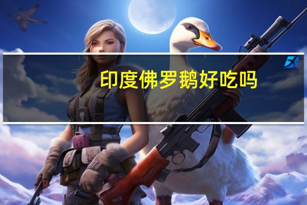 印度佛罗鹅好吃吗