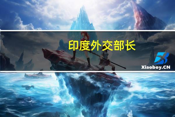 印度外交部长：对G20领导人就全球问题发表一致声明持乐观态度