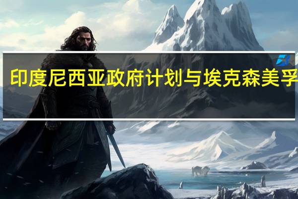 印度尼西亚政府计划与埃克森美孚合作