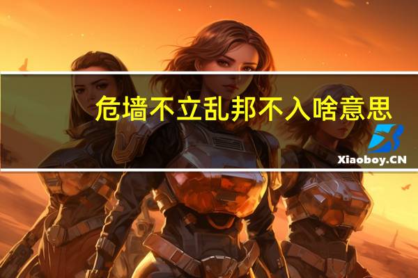 危墙不立乱邦不入啥意思