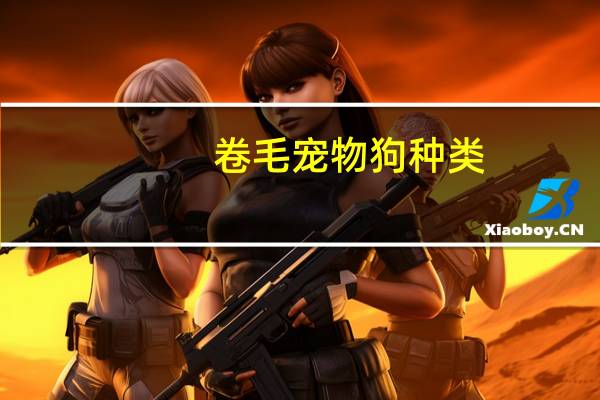 卷毛宠物狗种类