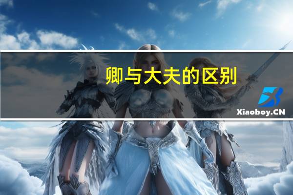卿与大夫的区别