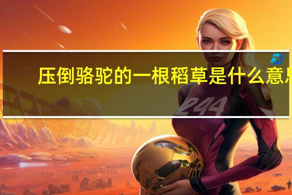 压倒骆驼的一根稻草是什么意思