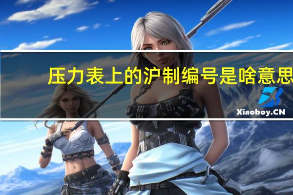 压力表上的沪制编号是啥意思