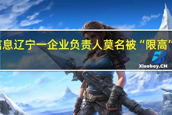 原告弄错被告信息辽宁一企业负责人莫名被“限高”法院 到底什么情况嘞