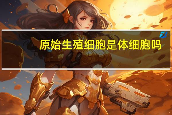 原始生殖细胞是体细胞吗（原始生殖细胞）