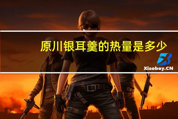 原川 银耳羹的热量是多少