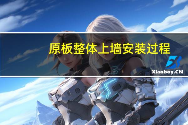 原板整体上墙安装过程