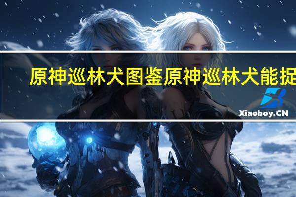 原神巡林犬图鉴 原神巡林犬能捉吗