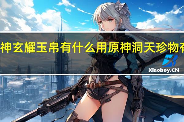原神玄耀玉帛有什么用 原神洞天珍物有什么用