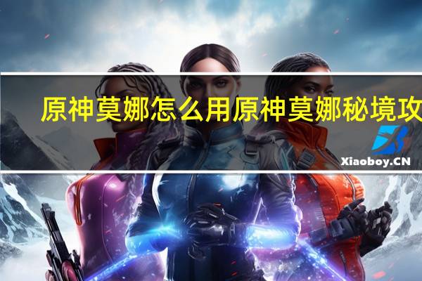 原神莫娜怎么用 原神莫娜秘境攻略