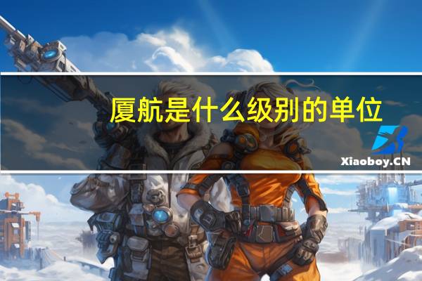 厦航是什么级别的单位