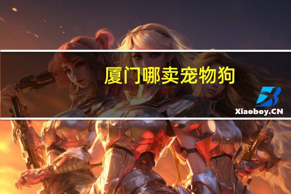 厦门哪卖宠物狗