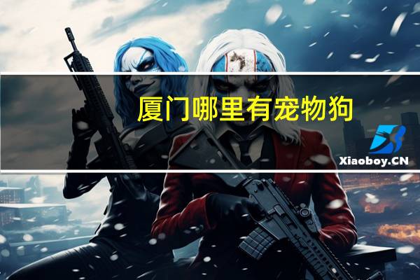厦门哪里有宠物狗