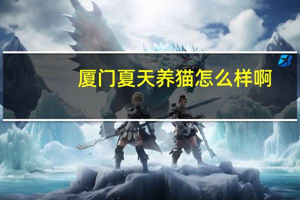 厦门夏天养猫怎么样啊