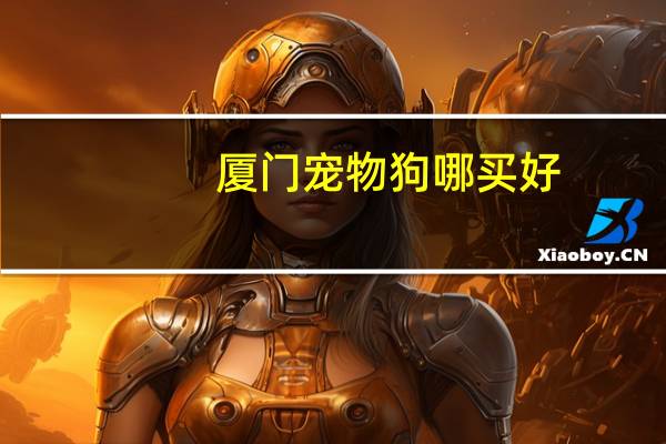 厦门宠物狗哪买好