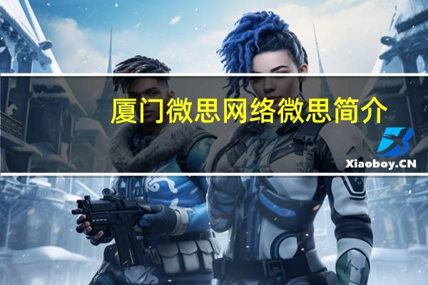 厦门微思网络微思简介