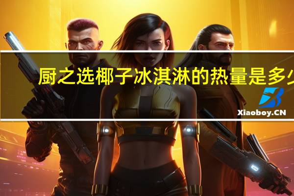 厨之选 椰子冰淇淋的热量是多少